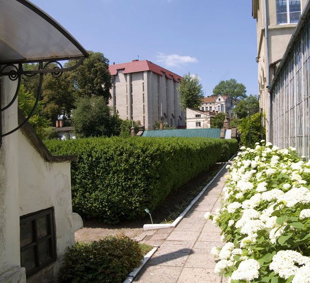 Lviv University Botanical Garden, Ukraine